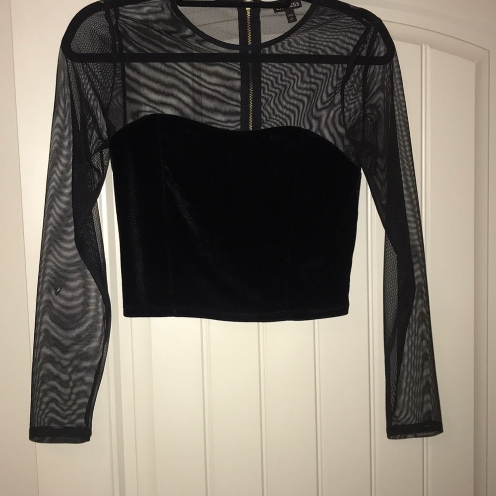 Cute express mesh/velvet crop top